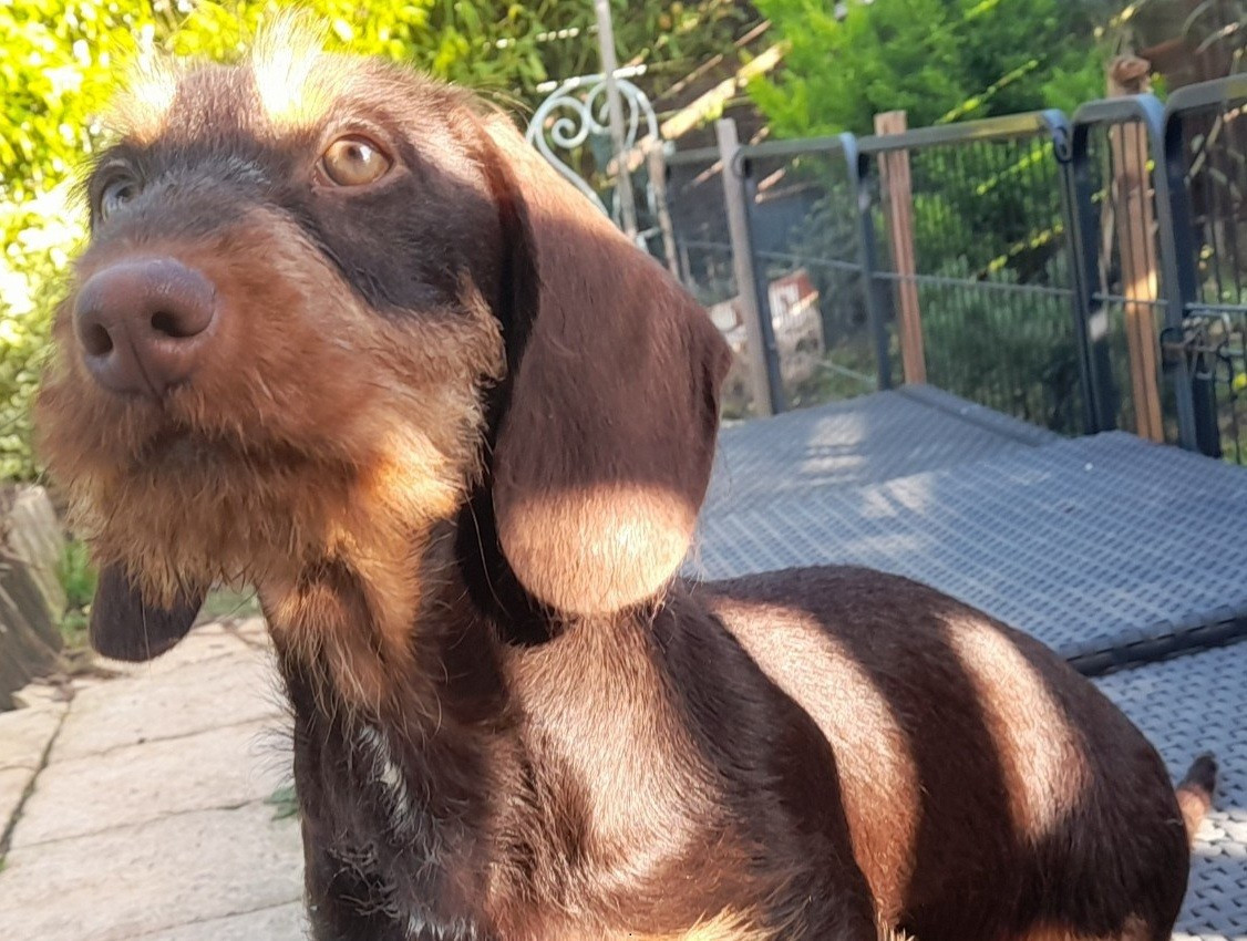 Amazing Grace des petits rois de kladska